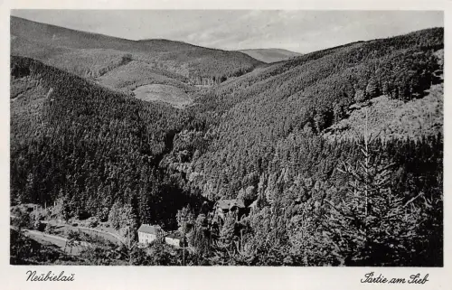Neubielau (Bielawa) Partie am Sieb Postkarte AK