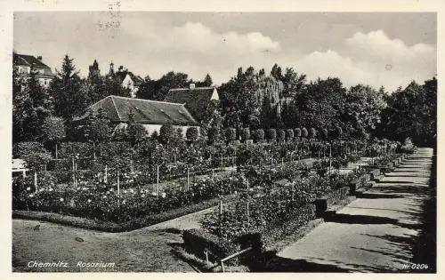 Rosarium in Chemnitz Sachsen Postkarte AK 1938