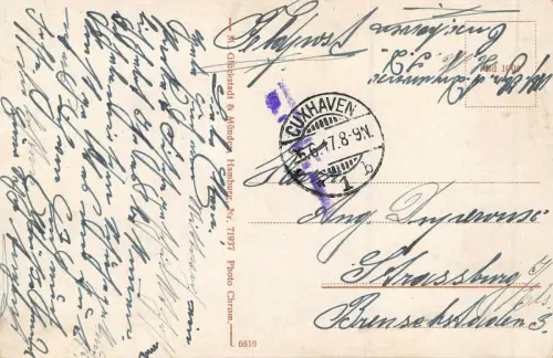 Seemannsmagen kann alles vertragen Salzhering mit Graupen Patriotika AK 1917