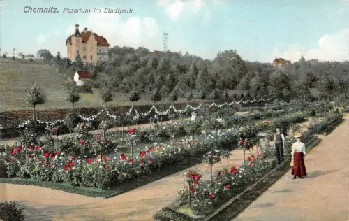 Chemnitz Rosarium im Stadtpark Postkarte AK