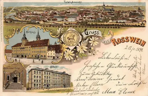 Gruss aus Rosswein mit Rathaus und Schule Sachsen Litho Postkarte AK 1899