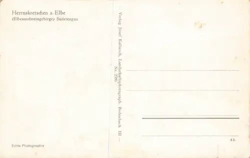 Ansicht Herrnskretschen Hřensko mit Dampfer Pillnitz Sudeten Postkarte AK