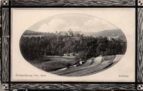 Schwarzburg Thür. Wald Schloss Photographie AK