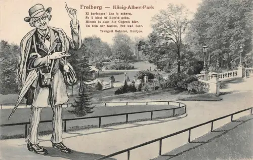 Freiberg König-Albert-Park Ei herjehses! Postkarte AK