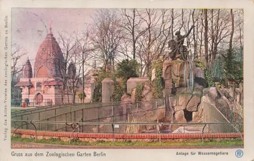 Gruss aus dem Zoologischen Garten Wassernagetiere Berlin Postkarte AK 1907