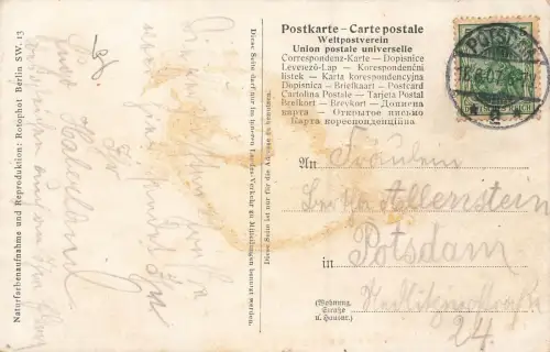 Gruss aus dem Zoologischen Garten Wassernagetiere Berlin Postkarte AK 1907