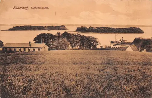 Süderhaff Ochseninseln Postkarte AK 1913