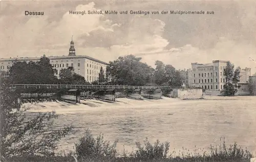 Dessau Herzogl. Schloß Mühle und Gestänge von der Muldpromenade Feldpost AK 1917