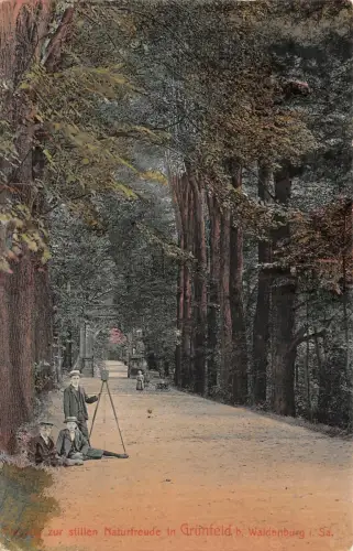 Eingang zur stillen Naturfreude Grünfeld b. Waldenburg i. Sa. Postkarte AK 1917