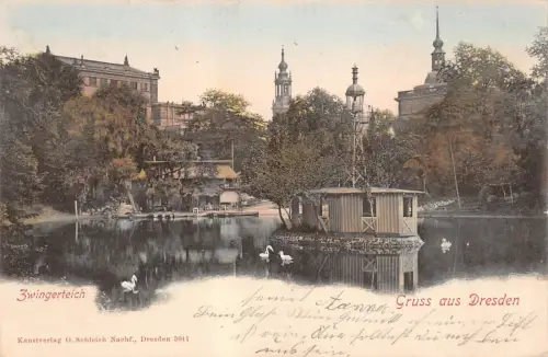Gruss aus Dresden Zwingerteich Postkarte 1900
