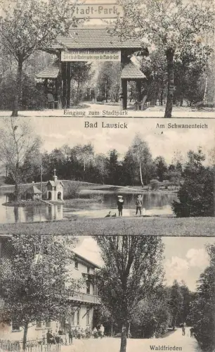Schwanenteich und Stadtpark in Bad Lausick Sachsen Postkarte AK 1917
