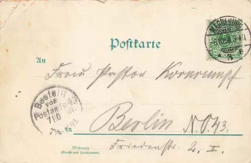 Elbpanorama mit Dom in Magdeburg Sachsen-Anhalt Postkarte AK 1898