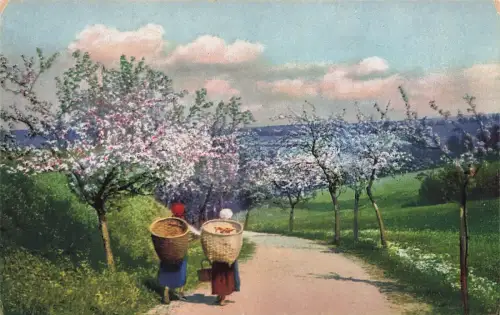 Landschaftsbild mit Frauen Photochromie Dresden Serie 274 Nr. 4270 Postkarte AK