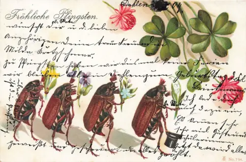 Fröhliche Pfingsten Kleeblätter Käfer Zylinder Hut Blumen Postkarte AK 1904