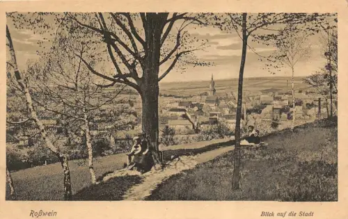 Roßwein Blick auf die Stadt Postkarte AK