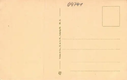 Roßwein Blick auf die Stadt Postkarte AK