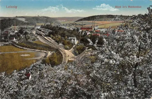 Leisnig Blick in's Muldenthal Feldpostkarte 1915