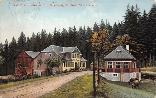 Gasthof zur Auerhahn bei Stützerbach Thüringer Wald Thüringen Postkarte AK 1919