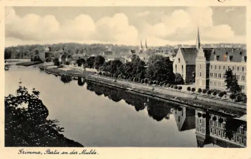 Partie an der Mulde Grimma Sachsen Postkarte AK 1941