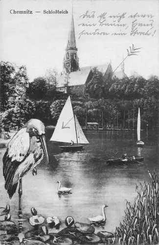 Chemnitz Sachsen Schloßteich Postkarte 1925 Boot