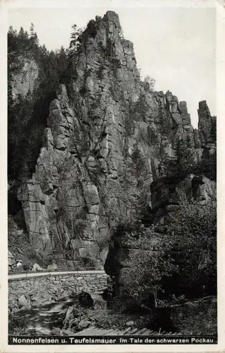 Nonnenfelsen u. Teufelsmauer im Tale der schwarzen Pockau Postkarte AK