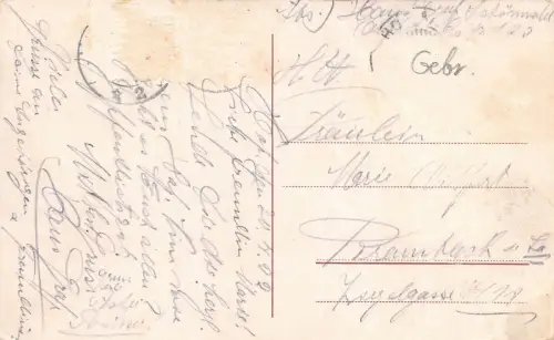 Hof i. B. Bahnviadukt über d. Saale Hauptb. Postkarte