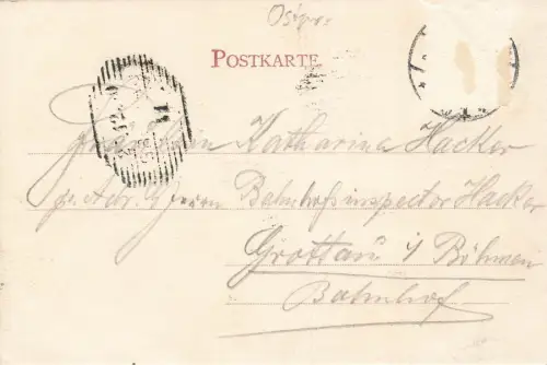 Königsberger Thiergarten mit Forsthaus Königsberg Ostpreussen Postkarte AK