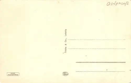 Insterburg Ostpreußen Partie Stadtpark Fotokarte