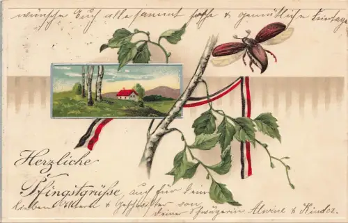 Herzliche Pfingstgrüße Käfer Landschaft Idylle Postkarte AK 1916