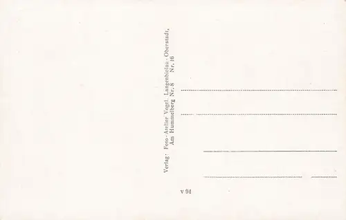 Goldenes Sieb Gasthaus und Hindenburgturm Eulengebirge Schlesien Postkarte AK