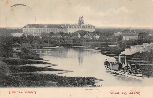Gruss aus Leubus Lubiąż Blick von Weinberg AK 1911