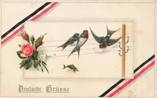 Deutsche Grüsse mit Brieftaube Patriotika Postkarte AK 1916