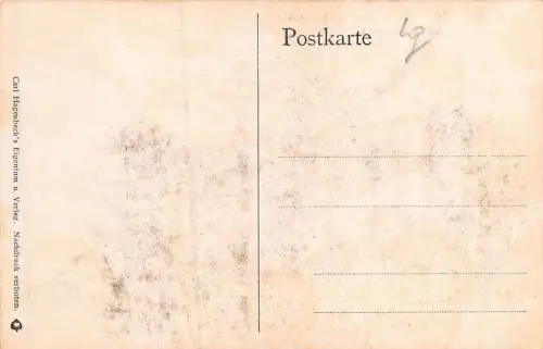 Carl Hagenbeck's Tierpark Stellingen-Hamburg Löwenschlucht Postkarte AK