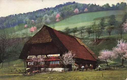 Schwarzwaldhaus im Kirnbachtal im Schwarzwald Baden-Württemberg AK 1913