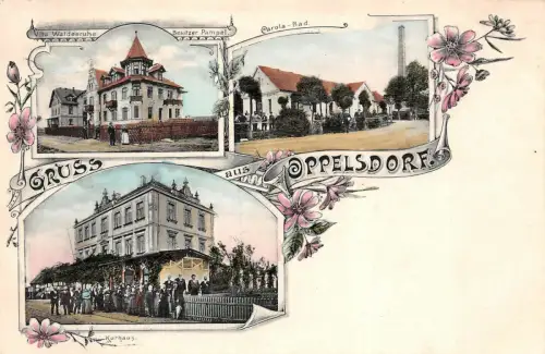 Gruss aus Oppelsdorf Villa Waldesruhe Carola-Bad Kurhaus Postkarte AK