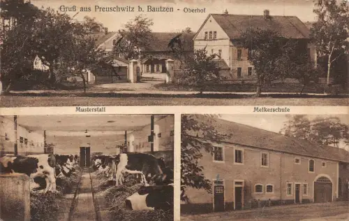 Oberhof mit Melkerschule und Stall Preuschwitz Sachsen Postkarte AK 1930