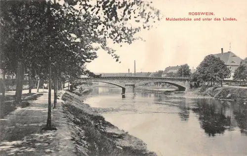 Rosswein Muldenbrücke und unter den Linden AK 1909