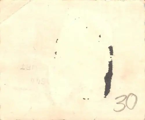 Geländerfahrt Halbketten - Zugmaschine Sd. Kfz 10 Büssing - NAG D 7