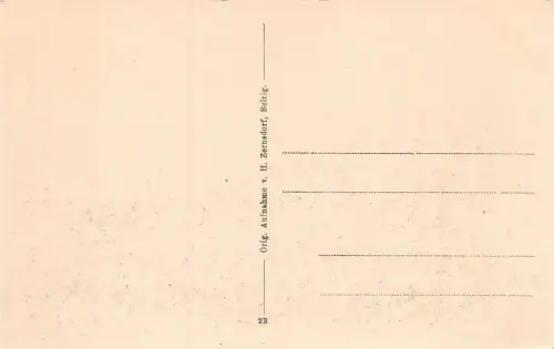 Wiesenburg Mark (Schloss u. Park) Postkarte AK