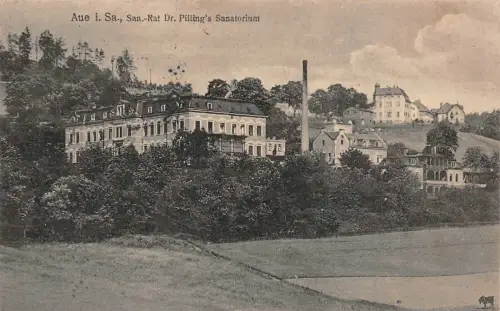 Aue i. Sa. San.-Rat Dr. Pilling's Sanatorium Postkarte AK 1912