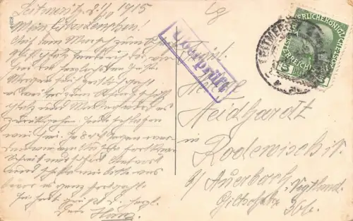 Leitmeritz Blick vom Domgebiet Lange Gasse Altes Rathaus Elbepartie AK 1915