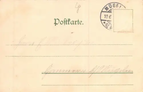 Füttern der Wildschweine Moritzburg Postkarte
