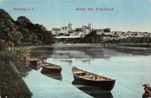 Bernburg a. S. Schloß vom Kesselbusch Postkarte AK 1912