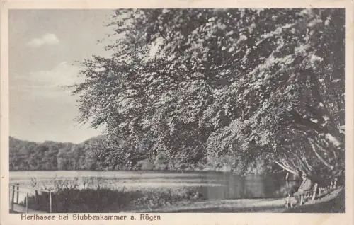 Herthasee bei Stubbenkammer auf Rügen Mecklenburg-Vorpommern Postkarte AK