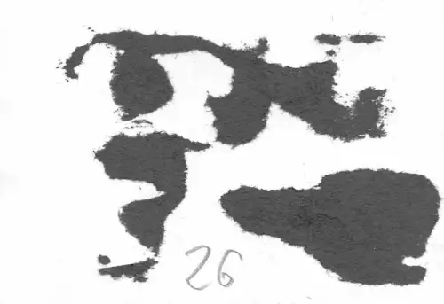 Fahrt mit Panjeschlitten Raum Rschew Rußland