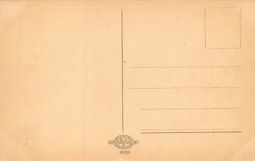 Uppsala Slottet Postkarte AK