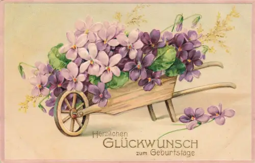 Herzlichen Glückwunsch zum Geburtstage Schubkarren Blumen Postkarte AK 1910