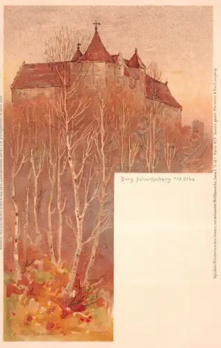 Burg Scharfenberg a./d. Elbe Postkarte AK