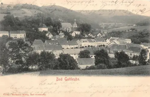 Blick auf Bad Gottleuba Postkarte 1902