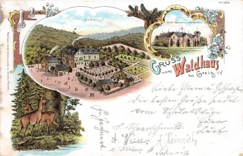 Gruss vom Waldhaus bei Greiz i./V. Fürstl. Jagdschloss Litho AK 1898